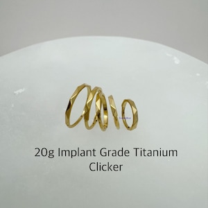20g Diamond Cut Hoop, Implant Grade Titanium Hinged Segment with Faceted Side Hoop, ASTM F-136 Titanium Segment Ring, Helix Hoop, Nose