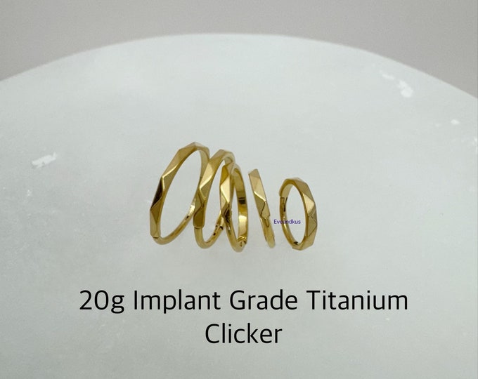 20g Diamond Cut Hoop, Implant Grade Titanium Hinged Segment with Faceted Side Hoop, ASTM F-136 Titanium Segment Ring, Helix Hoop, Nose