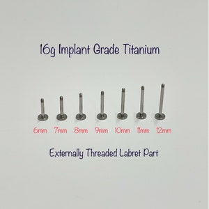 May include: Seven titanium labret studs in sizes 6mm to 12mm. The studs are externally threaded and made of implant grade titanium. 16g Implant Grade Titanium. Externally Threaded Labret Part.