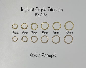 18g 16g Basic Hoop, Implant Grade Titanium Seamless Hinged Clicker, ASTM F-136 Titanium Segment Ring, Helix Hoop, Nose, Conch