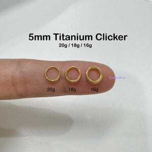 5mm Hoop Implant Grade Titanium Seamless Hinged Clicker: 20g 18g 16g Helix Tragus Hoop
