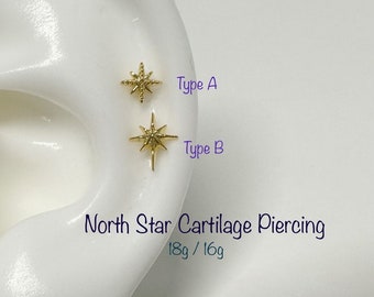 18g 16g North Star Cartilage Piercing, Cartilage, Helix, Conch piercing