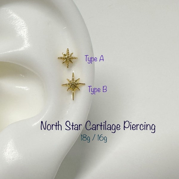 18g 16g North Star Cartilage Piercing, Cartilage, Helix, Conch piercing