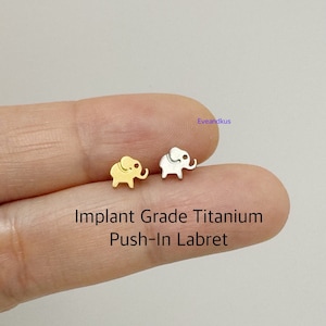 May include: Two small elephant push-in labrets, one gold and one silver, on a finger. Implant Grade Titanium Push-In Labret.