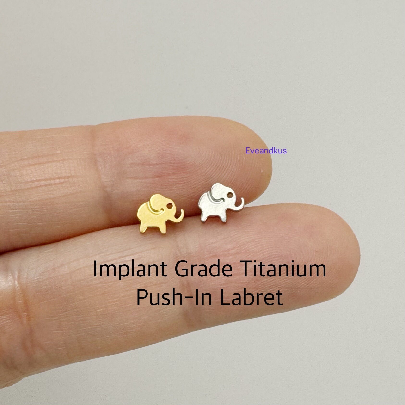 Implant Grade Titanium Internally Threaded Elephant Flat Back Labret Implant Grade Titanium Internally Threaded Elephant Flat Back Labret