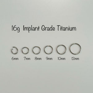 16g Titanium Seamless Hinged Clicker, Titanium Segment Ring, Helix Hoop, Cartilage, Conch, Nickel Free