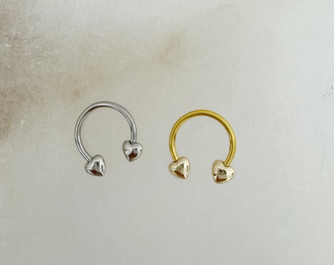 16g Heart Ends horseshoe piercing (Single), 10mm Septum Ring and Rook piercing
