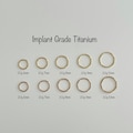 20g Implant Grade Titanium Seamless Hinged Clicker, Titanium 6AL-4V-ELI-ASTM-F136 Segment Ring, Helix Hoop, Nose