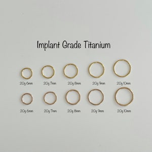 20g Implant Grade Titanium Seamless Hinged Clicker, Titanium 6AL-4V-ELI-ASTM-F136 Segment Ring, Helix Hoop, Nose