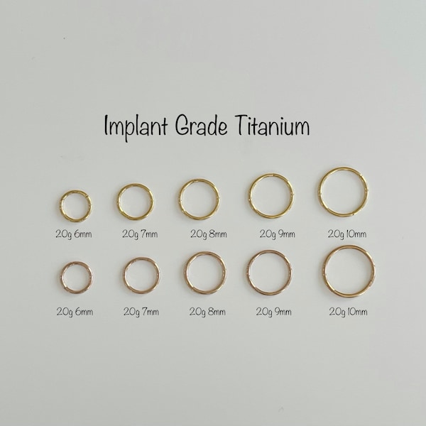 20g Plain Basic Hoop: ASTM-F136 Implant Grade Titanium Segment Ring, Helix, Nose Hoop