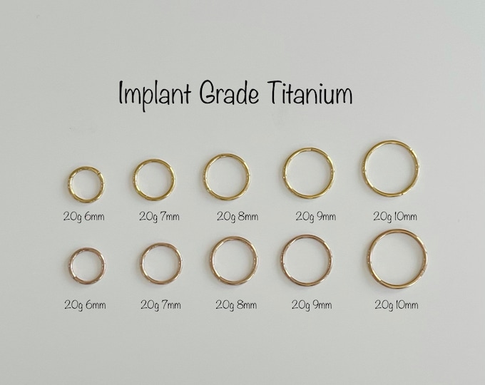 20g Implant Grade Titanium Seamless Hinged Clicker, Titanium 6AL-4V-ELI-ASTM-F136 Segment Ring, Helix Hoop, Nose