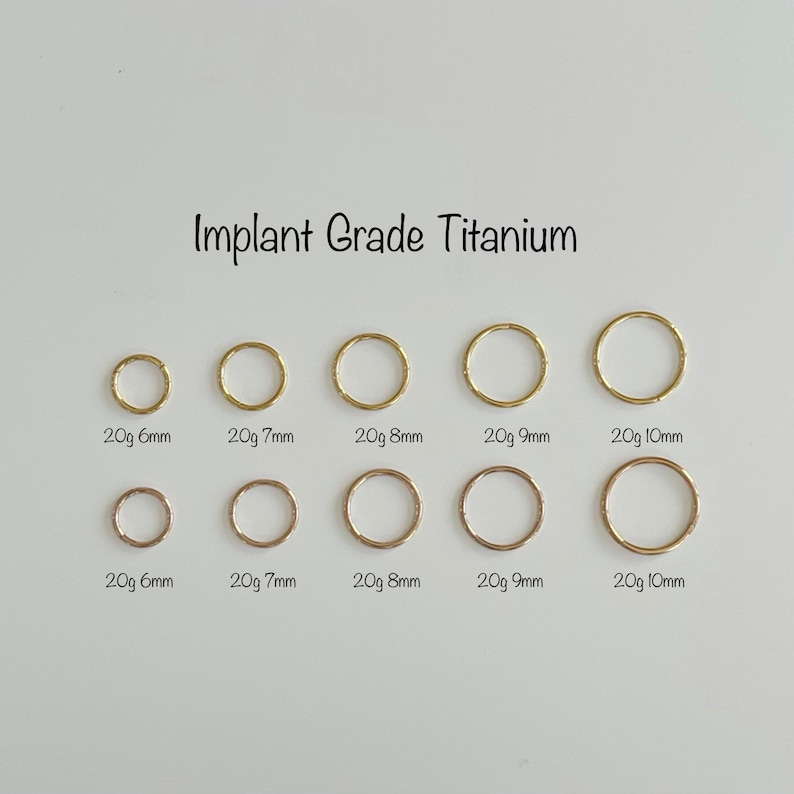 20g Implant Grade Titanium Seamless Hinged Clicker Grade 23 | Etsy