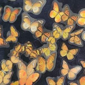 Butterfly Stickers Transparent Border Orange Yellow Clear Border 40 Pack