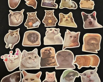 Funny Cat Stickers Water Bottle 25 Count Meme Cats Funny Faces For Pet Lover Animal