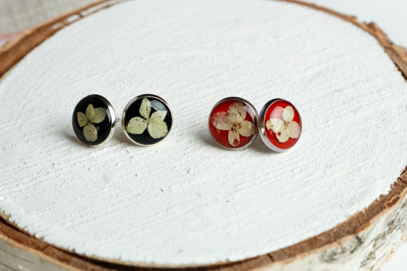 21st birthday gift for her terrarium earrings Black stud earrings real nature earrings red stud earrings dried flower gift
