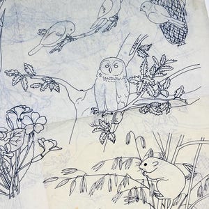 Vintage Embroidery Transfer- 12 British Wildlife Motifs and Florals, Owl, Hedgehog, Dormouse, Bird