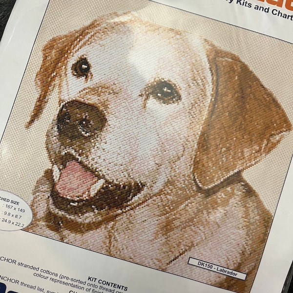 The Stitch Studio, Counted Cross Stitch, Golden Labrador Dog, Pedigree Dogs Collection, 9.8 x 8.7 Inches