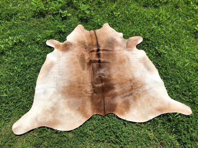 X Small Cowhide Rugs Solid Brown Real Hair On Cow Hide Skin Etsy