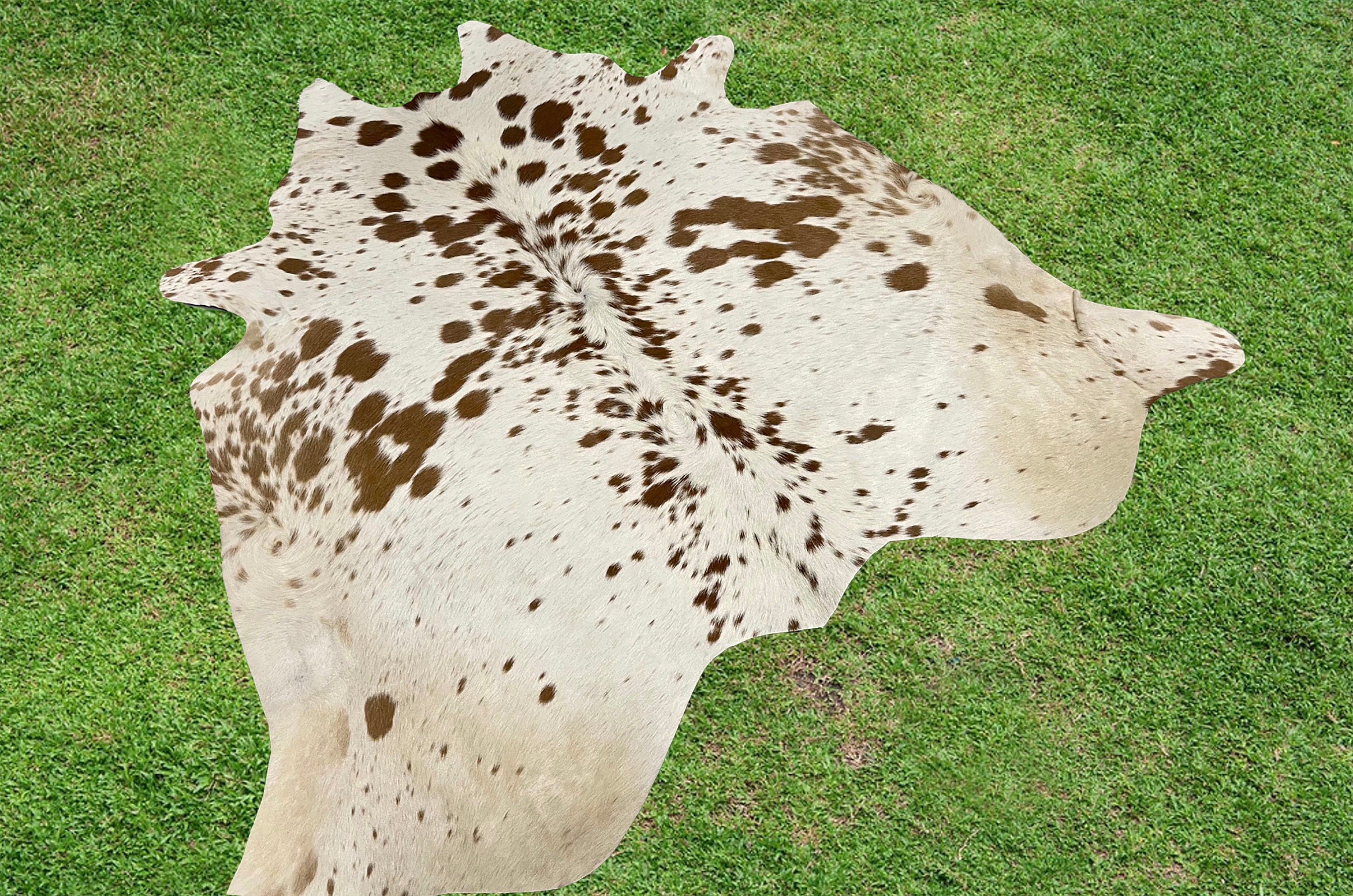 Cowhide Rug Brown White Cow Hide Skin Real Hair on Animal Skin Etsy
