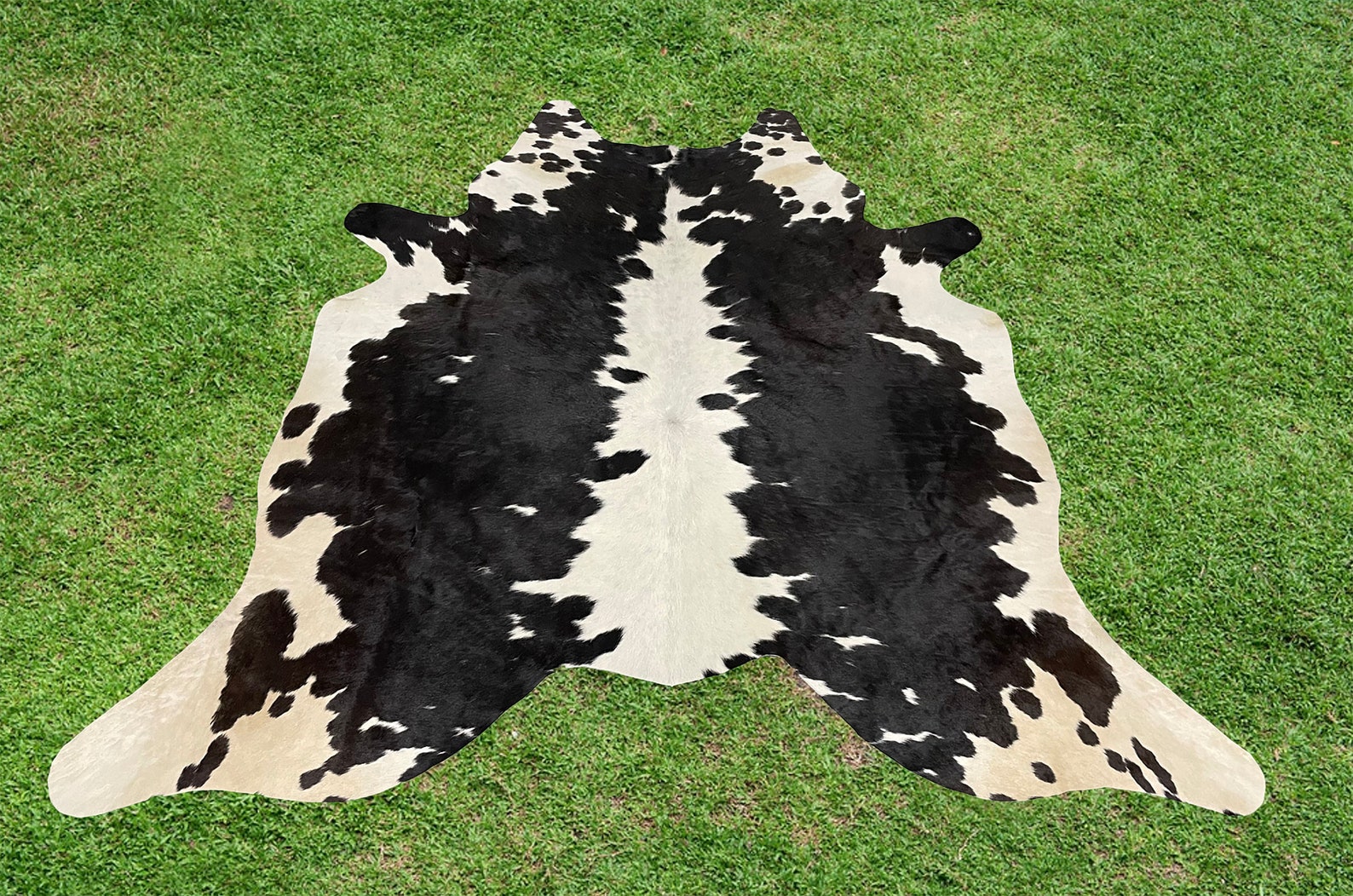 Small Cowhide Rug Black White Real Hair on Cow Hide Skin Etsy