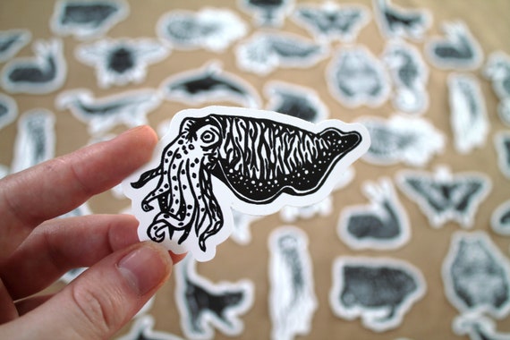 Cuttlefish Sticker Cephalopod Die Cut Sticker Nautical - Etsy