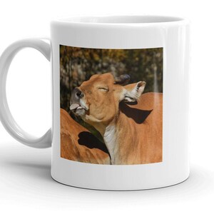 Sassy cow mug, Raspberry cow, cow sticking out tongue, funny farm animal mug, spirited cow mug, funny farm animal mug, take that coffee cup