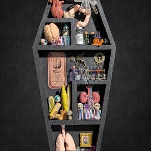Handmade Coffin Display Shelf – Miniature Books, Organs, Potions, Oddities