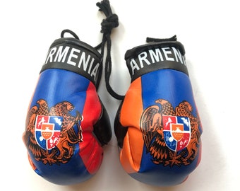 Mini gants de boxe arméniens pour voiture, drapeau arménien et armoiries, meilleurs cadeaux arméniens