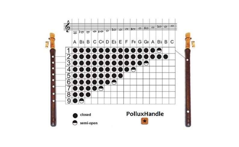 Armenian Duduk, Pro Duduk, Professional Duduk 2 Reeds Key A Duduk National Case, free gift Flute and Playing Instruction image 8