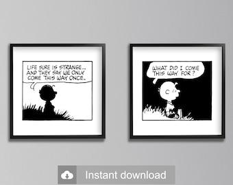 1960 年代のヴィンテージ ピーナッツ チャーリー ブラウンとスヌーピー