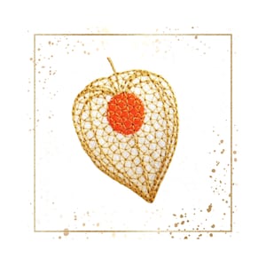 Physalis, Lampionblume in 2 Grössen. Stickdatei.
