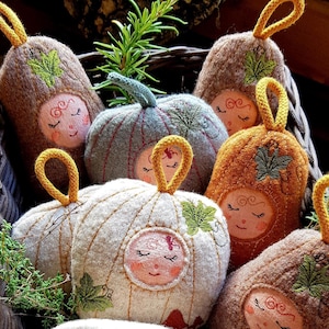Può includere: Una collezione di ornamenti a forma di zucca in feltro fatti a mano in un cesto di vimini. Le zucche sono in vari colori, tra cui marrone, arancione e bianco, con facce ricamate, dettagli di foglie e anelli gialli per appenderle. Il tema è la decorazione autunnale.