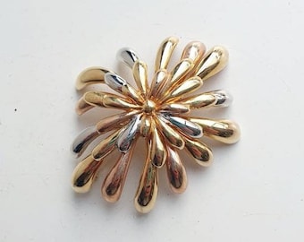 Oude broche//gouden broche//vintage broche//vintage sieraden//oude sieraden//gouden sieraden//glanzende sieraden//sieraden//sieraden//broche