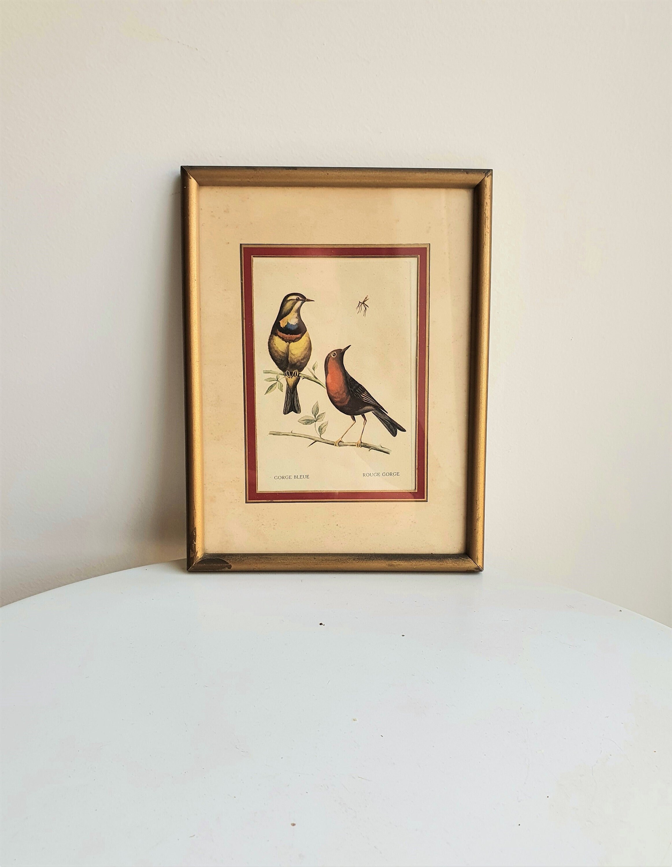 Cadre Oiseau//Oiseau//Cadre Doré//Planche Pédagogique//Dessin Oiseau//Cadre Doré//Décoration Oiseaux