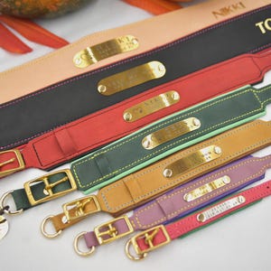 Personalized Leather Dog Collar, Engraved Dog Collar, Per Collars, Custom Dog Collar with Name Plate, Leather Dog Collar, Pet Gifts image 5