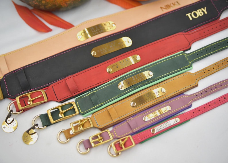 Personalized Leather Dog Collar, Engraved Dog Collar, Per Collars, Custom Dog Collar with Name Plate, Leather Dog Collar, Pet Gifts image 5