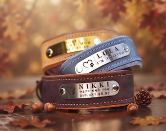 Two Tone Leather Dog Collar: Engraved Name Plate, Custom Pet Gift