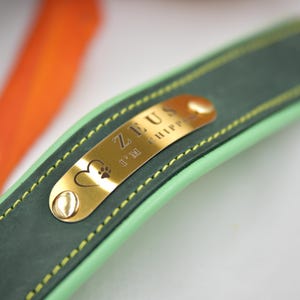 Puede incluir: Un collar para mascota de cuero verde oscuro con una placa de identificaci&oacute;n de metal dorado pulido. La placa est&aacute; grabada con el nombre ZEUS, el texto I'M CHIPPED y un icono de coraz&oacute;n con una huella. El collar tiene bordes verde claro y costuras amarillas.