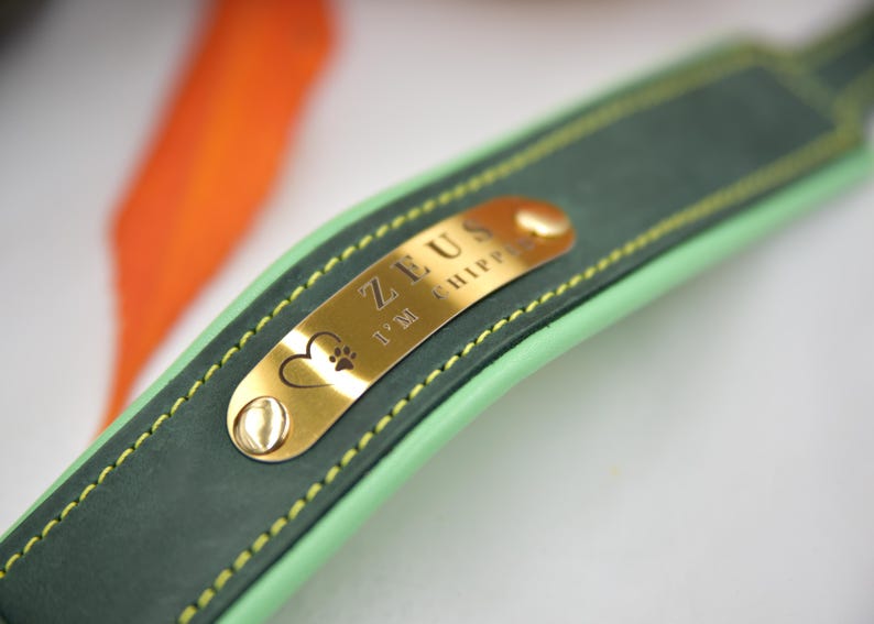 Puede incluir: Un collar para mascota de cuero verde oscuro con una placa de identificaci&oacute;n de metal dorado pulido. La placa est&aacute; grabada con el nombre ZEUS, el texto I'M CHIPPED y un icono de coraz&oacute;n con una huella. El collar tiene bordes verde claro y costuras amarillas.