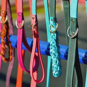 May include: A collection of colorful dog leashes in various shades of pink, orange, teal, and green. Some leashes are solid, while others feature braided or patterned designs. Each leash has a metal ring and is hanging from a blue bar.