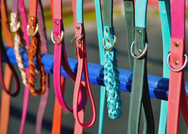 May include: A collection of colorful dog leashes in various shades of pink, orange, teal, and green. Some leashes are solid, while others feature braided or patterned designs. Each leash has a metal ring and is hanging from a blue bar.