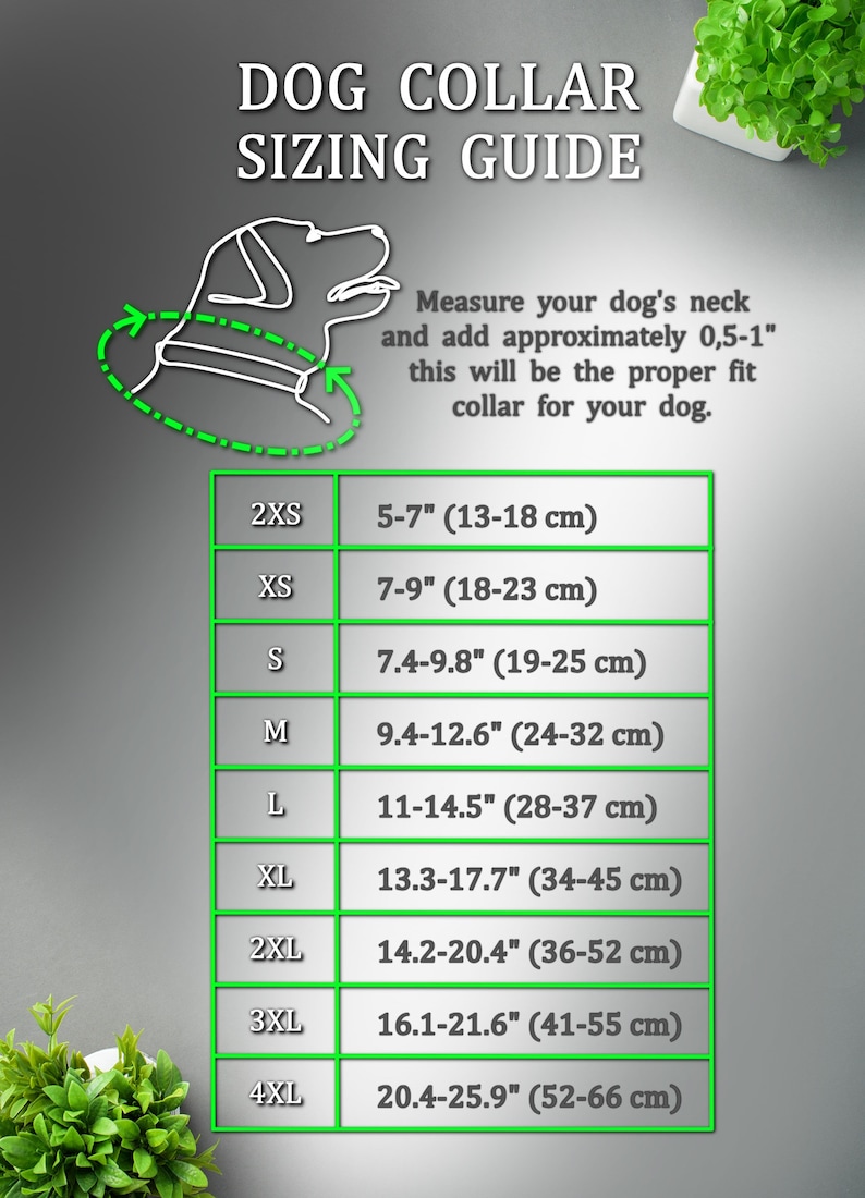 May include: Dog collar sizing guide with a chart showing different sizes in inches and centimetres. The chart includes sizes from 2XS to 4XL.