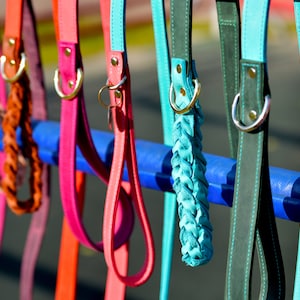 May include: An assortment of colourful dog leads hanging on a blue rack. The leads are made from different materials, including leather, braided rope, and nylon. Some leads have metal clasps and rings.