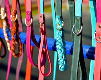 Leash for dogs and cats, Leads for dogs, Pet leather leashes and accessories with id tags, Dog and cat supplies, Custom pet walkers and gift