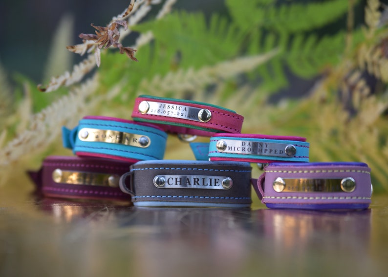 May include: Six colorful leather dog collars with personalized engraved metal name tags. The collars are stacked on top of each other, with the top collar being pink and green, the second collar being turquoise and pink, the third collar being burgundy, the fourth collar being gray and blue, the fifth collar being pink and blue, and the sixth collar being purple. The name tags read "Jessica 18.05.22", "Zorro", "Danny Microchipped", "Charlie", and "Danny Microchipped".