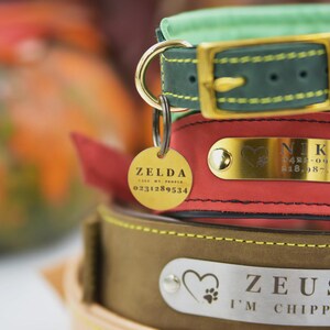 Personalized Leather Dog Collar, Engraved Dog Collar, Per Collars, Custom Dog Collar with Name Plate, Leather Dog Collar, Pet Gifts image 3
