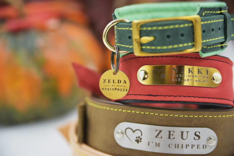 Personalized Leather Dog Collar, Engraved Dog Collar, Per Collars, Custom Dog Collar with Name Plate, Leather Dog Collar, Pet Gifts image 3
