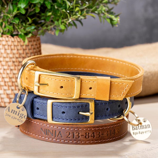 Dog Collar, Personalized Dog Collar, Custom Dog Collar with tags, Leather Dog girl collar, Dog collar boy