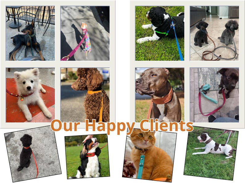 May include: A collage of images featuring various dogs and a cat wearing collars and leashes. The pets are of different breeds and colors, with some wearing colorful collars. The text "Our Happy Clients" is displayed in the center.