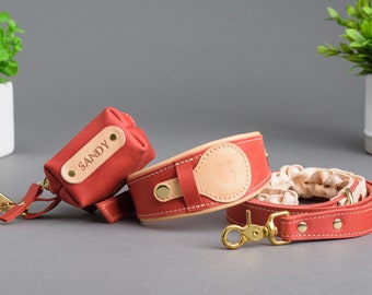 Personalized Leather Dog Collar, Leash, and Poop Bag Set with AirTag Holder